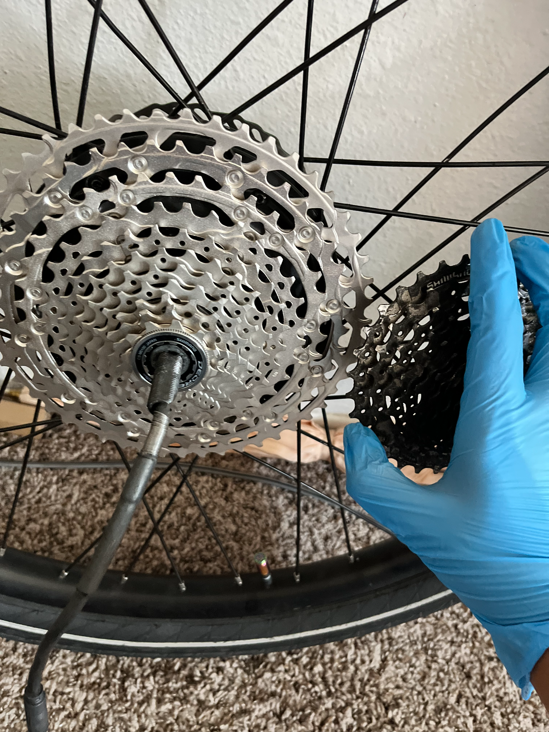 Freehub Comparison Picture